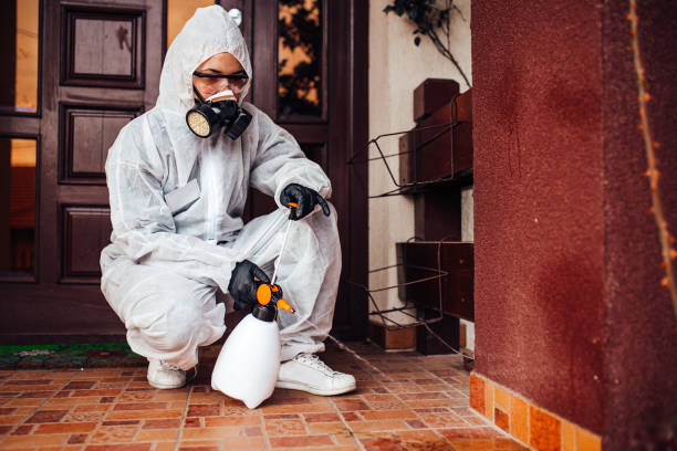 Reliable Wasp Removal contractor in South Wilton, CT by Show Me Pest Control